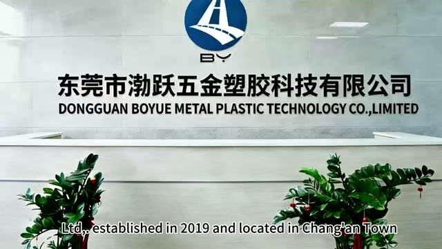 Dongguan Boyue Metal Plastic Technology Co., Ltd. manufacturer production line
